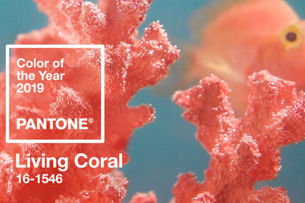Цветът на годината през 2019 е „Живият корал“